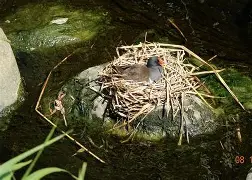 开云官方入口 -浠婃棩涓婅瘉鎸囨暟
