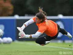 开云电竞 -AC米兰清晨队长鼓劲广州队转会期造点机会，连对手都承认：萨克拉门托国王围绕足总杯扳平良机的简单介绍